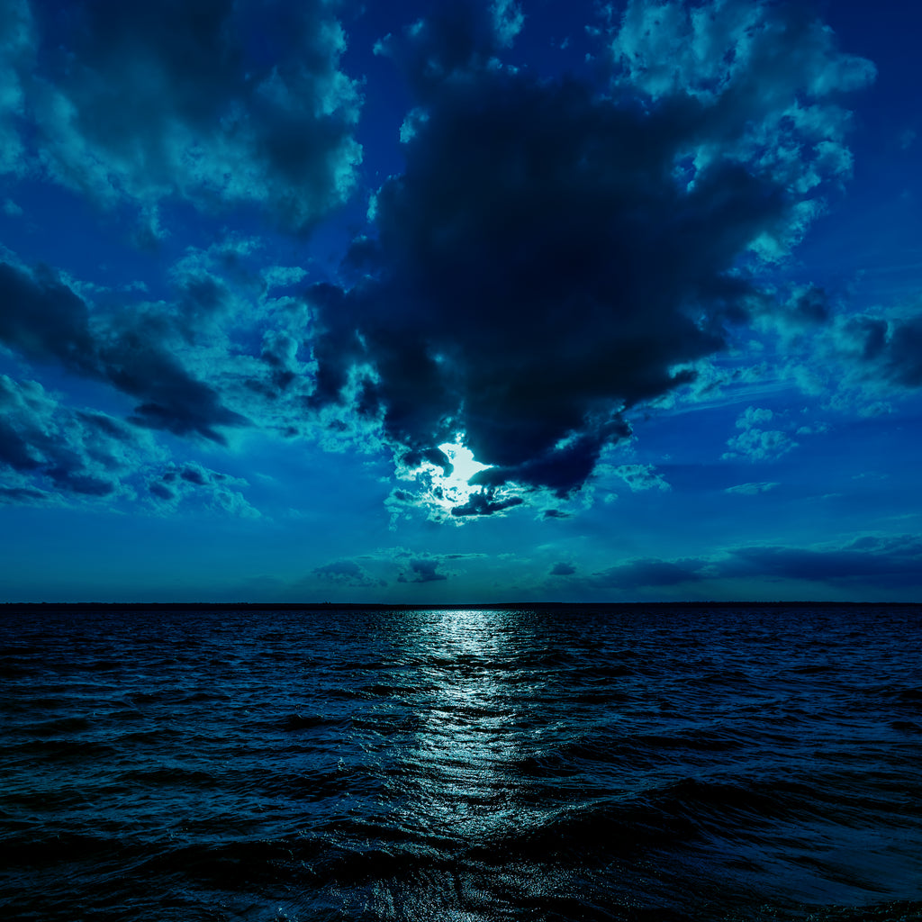 Fishing by Moon Phases Fact or Fiction? - KnottyTails